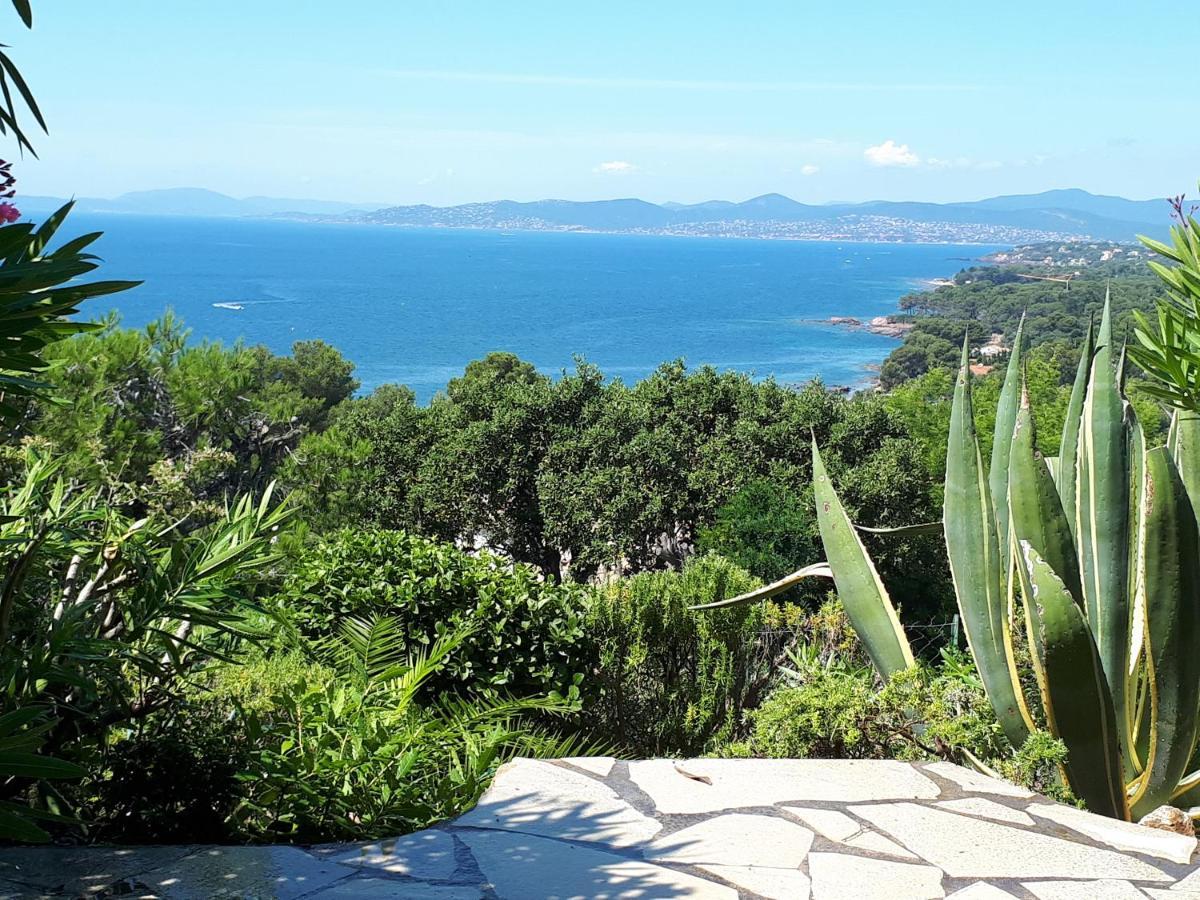 Duplex, Vue Panoramique Sur La Mediterranee, Piscine, Garage Saint-Raphaël 외부 사진
