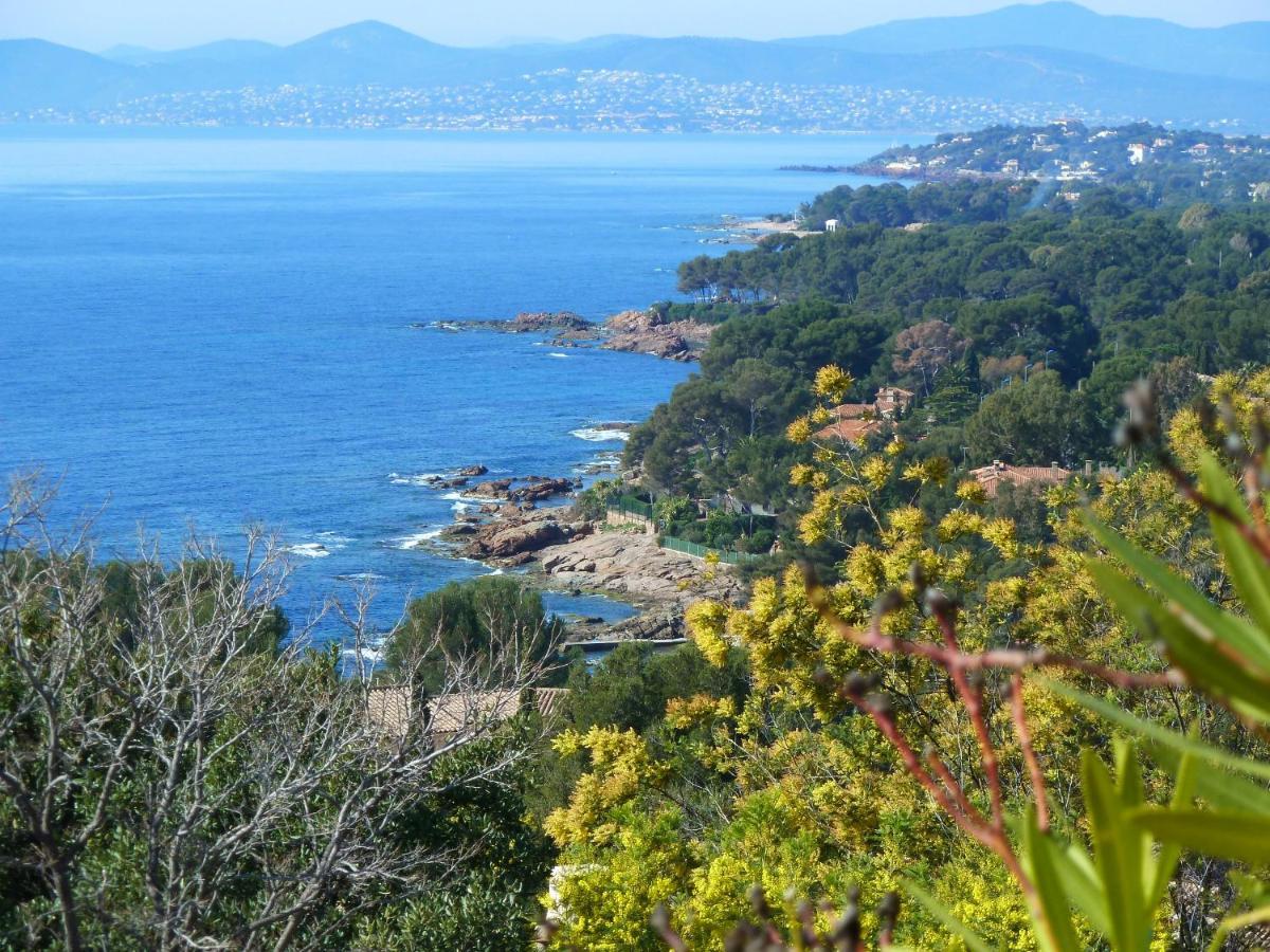 Duplex, Vue Panoramique Sur La Mediterranee, Piscine, Garage Saint-Raphaël 외부 사진