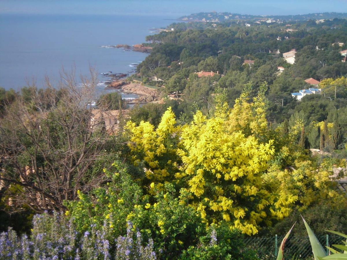 Duplex, Vue Panoramique Sur La Mediterranee, Piscine, Garage Saint-Raphaël 외부 사진